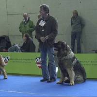 Salzburg Clubschau Mai 06 083